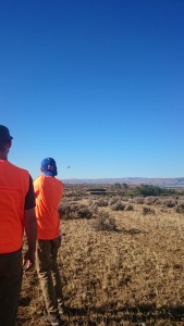 Michael Hellickson, real estate coach, hunting guide, hunting, pheasant hunt, bird hunt, Scott Scotty Josh, Aug 08 2015, Cooke Canyon Hunt Club, Reds Fly Fishing, Reds, Verl Workman, Tom Ferry, Jay Kinder (25)