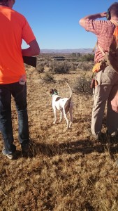Michael Hellickson, real estate coach, hunting guide, hunting, pheasant hunt, bird hunt, Scott Scotty Josh, Aug 08 2015, Cooke Canyon Hunt Club, Reds Fly Fishing, Reds, Verl Workman, Tom Ferry, Jay Kinder (26)