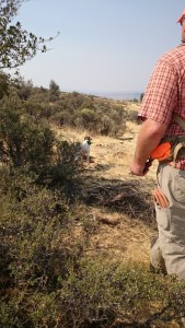 Michael Hellickson, real estate coach, hunting guide, hunting, pheasant hunt, bird hunt, William, Aug 18 2015, Cooke Canyon Hunt Club, Reds Fly Fishing, Reds, Verl Workman, Tom Ferry, Jay Kinder (33)