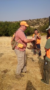 Michael Hellickson, real estate coach, hunting guide, hunting, pheasant hunt, bird hunt, William, Aug 18 2015, Cooke Canyon Hunt Club, Reds Fly Fishing, Reds, Verl Workman, Tom Ferry, Jay Kinder (50)
