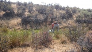 Michael Hellickson, real estate coach, hunting guide, hunting, pheasant hunt, bird hunt, William, Aug 18 2015, Cooke Canyon Hunt Club, Reds Fly Fishing, Reds, Verl Workman, Tom Ferry, Jay Kinder (9)