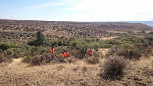 Michael Hellickson, real estate coach, hunting guide, hunting, pheasant hunt, bird hunt, William, Sept 05 2015, Cooke Canyon Hunt Club, Reds Fly Fishing, Reds, Verl Workman, Tom Ferry, Jay Kinder (5)